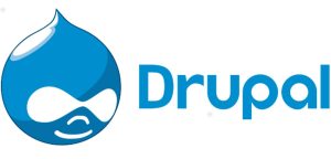 Drupal Custom Ecommerce Development Technology
